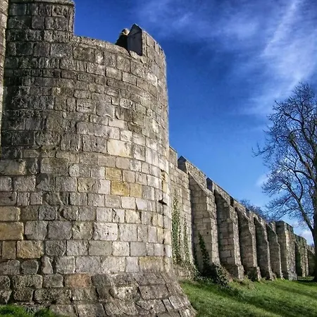 Luxury One Bedroom Within The Walls Apartment *