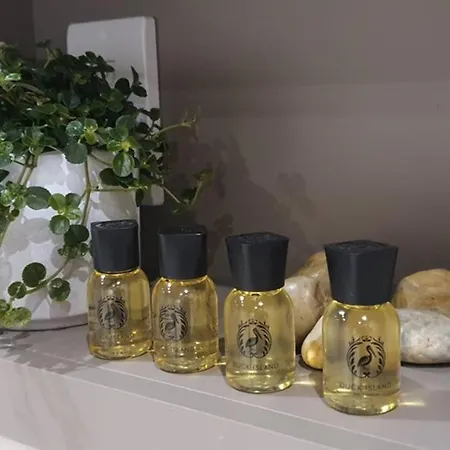 Apartment Luxury One Bedroom Within The Walls York